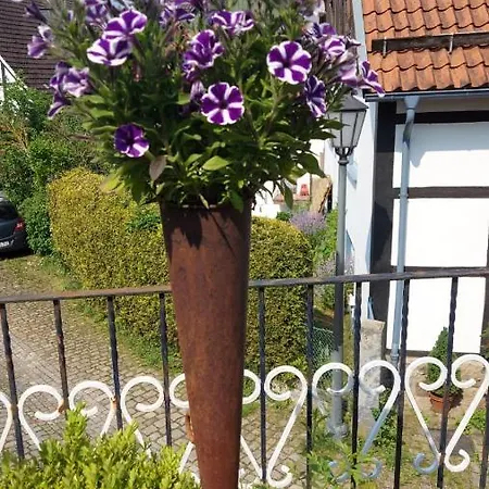 Fewo Schwalenberg *