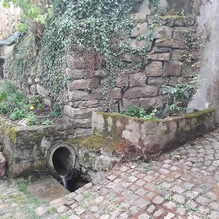 Casa de Férias Fewo Schwalenberg *