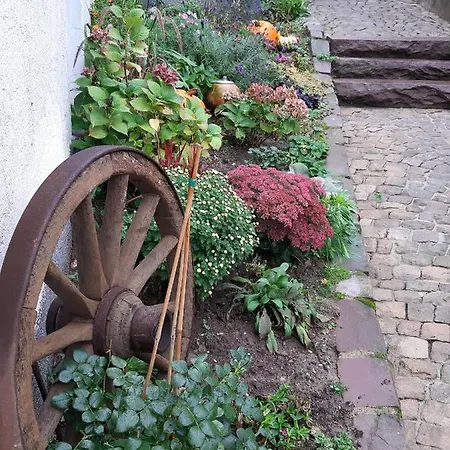 Fewo Schwalenberg Casa de Férias
